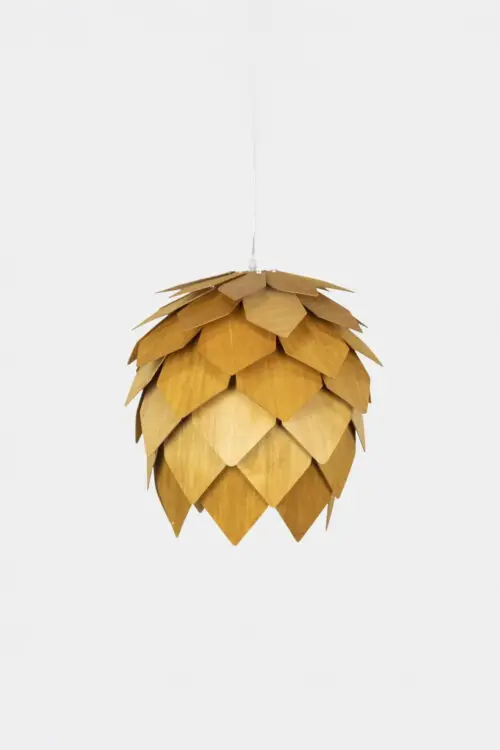 Cone brun liten