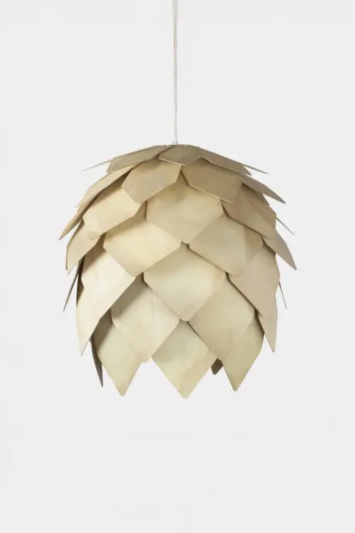 Cone natur stor
