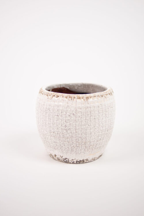 Catarina kruka 15 cm