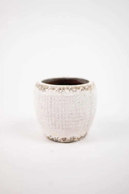 Catarina kruka 13,5 cm
