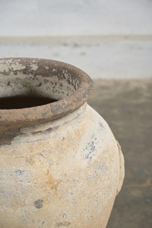 POT - Imagen 2