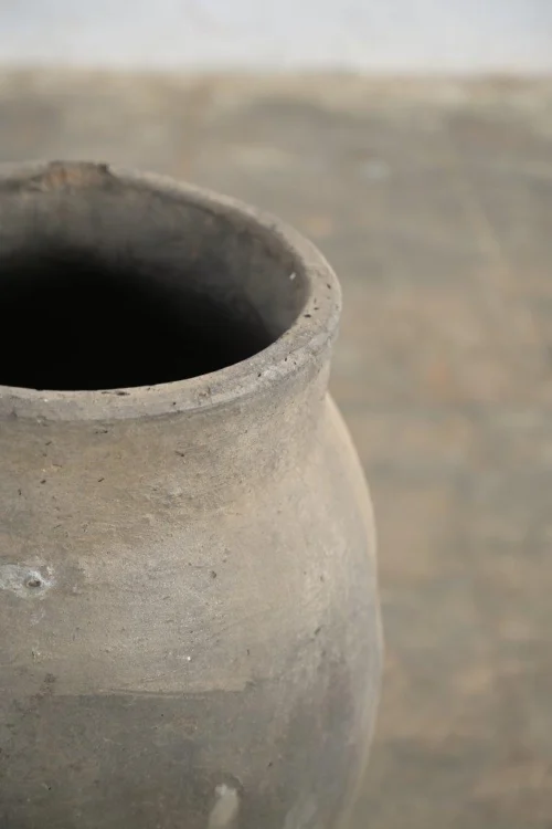 POT – Image 2