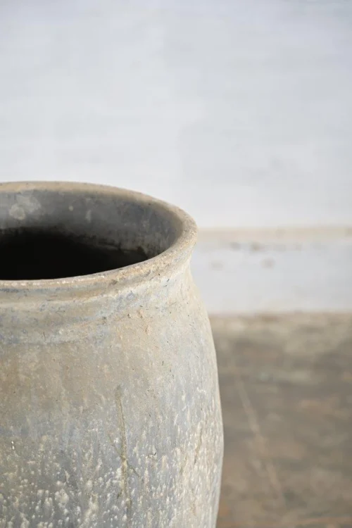 POT - Image 2