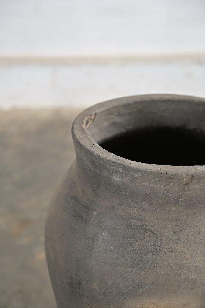 POT - Imagen 2